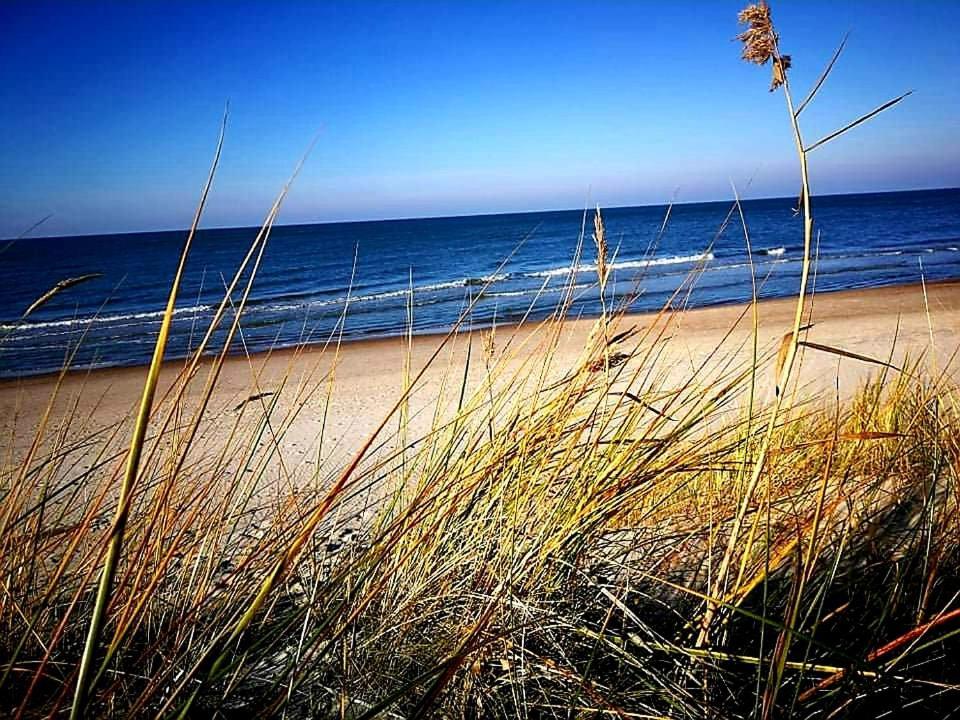 Dianos Apartamentai Palanga Dış mekan fotoğraf